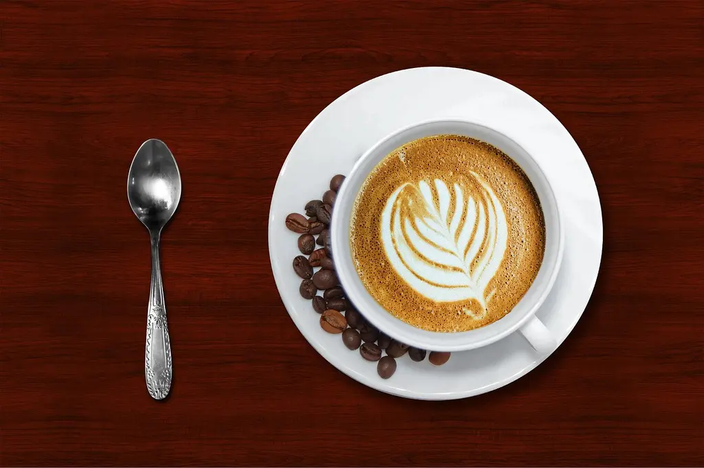 Las Nuevas Normas AESAN y la Cafetería Simple Tienda